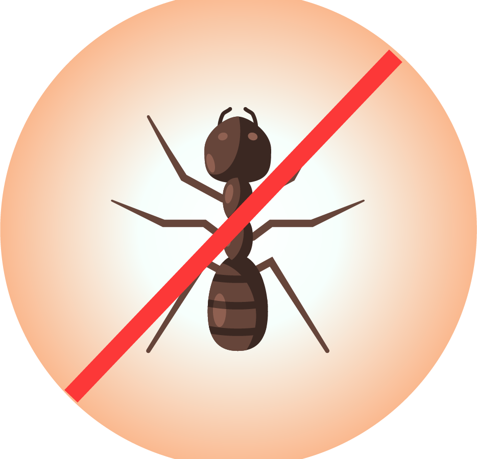 Ant Pest control